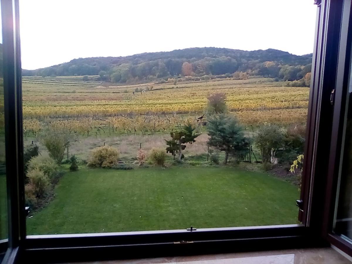 Апартаменты Top Over Vienna, Perchtoldsdorf Weinberge Ideal With Car Экстерьер фото