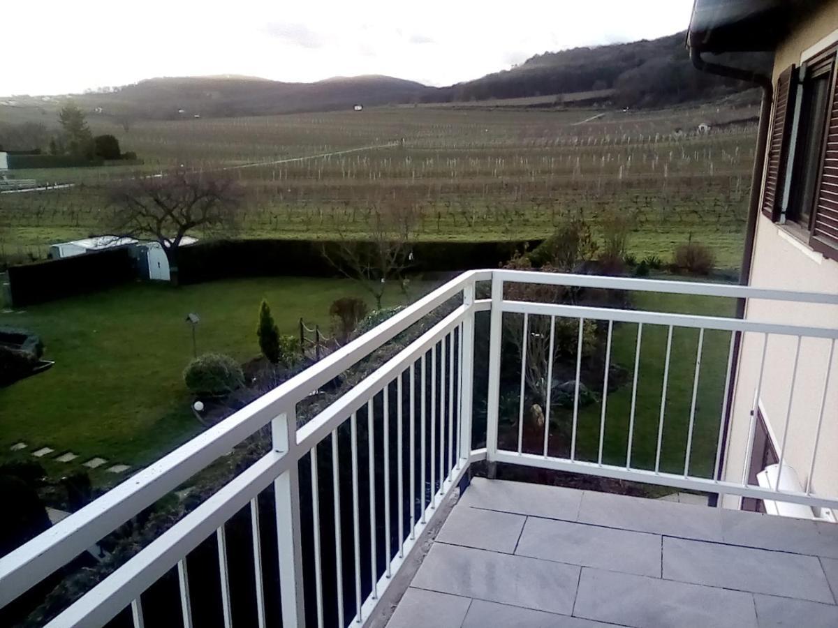 Апартаменты Top Over Vienna, Perchtoldsdorf Weinberge Ideal With Car Экстерьер фото